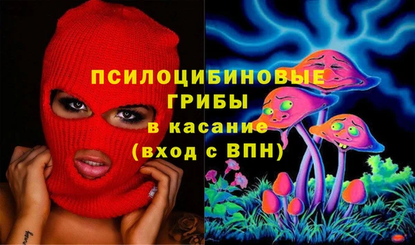 гидропоника Вязьма