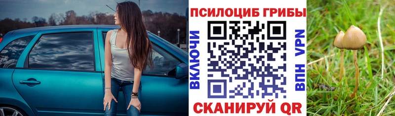 Псилоцибиновые грибы мухоморы  Далматово 